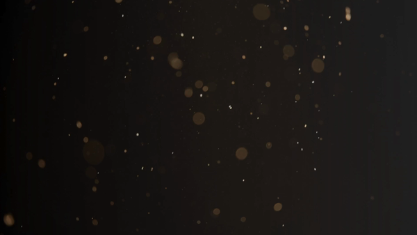 赤坂 The Salonの求人動画