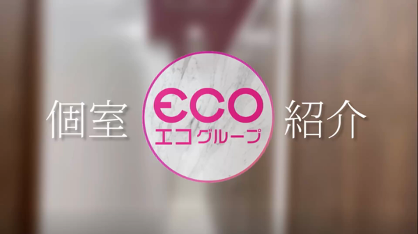 エコグループの求人動画