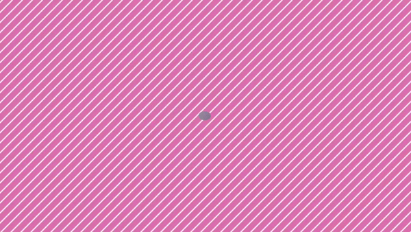 エピセレクションの求人動画