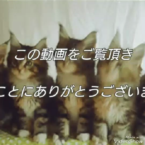 janjanの求人動画
