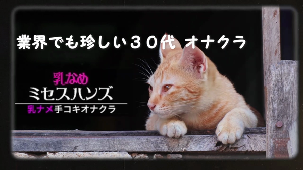 ミセスハンズ（ゴールドハンズグループ）の求人動画