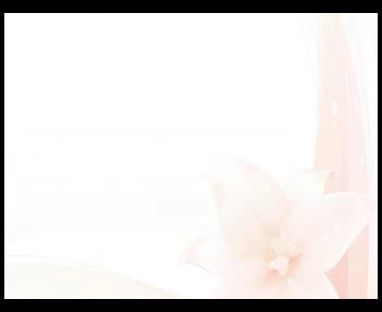 MOZAIC（モザイク）の求人動画