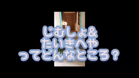 脱がされたい人妻久喜・古河店の求人動画
