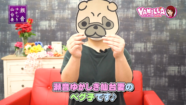 瀬音ゆかしき仙台妻の求人動画