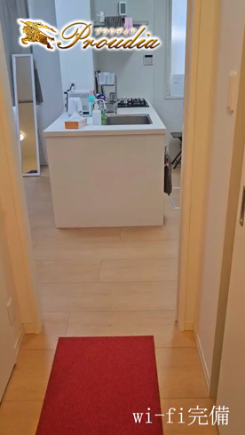 プラウディアの求人動画