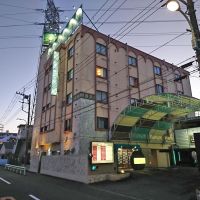 202002041334202529456