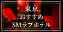 東京のおすすめSMラブホテル4選