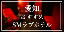 愛知のおすすめSMラブホテル6選