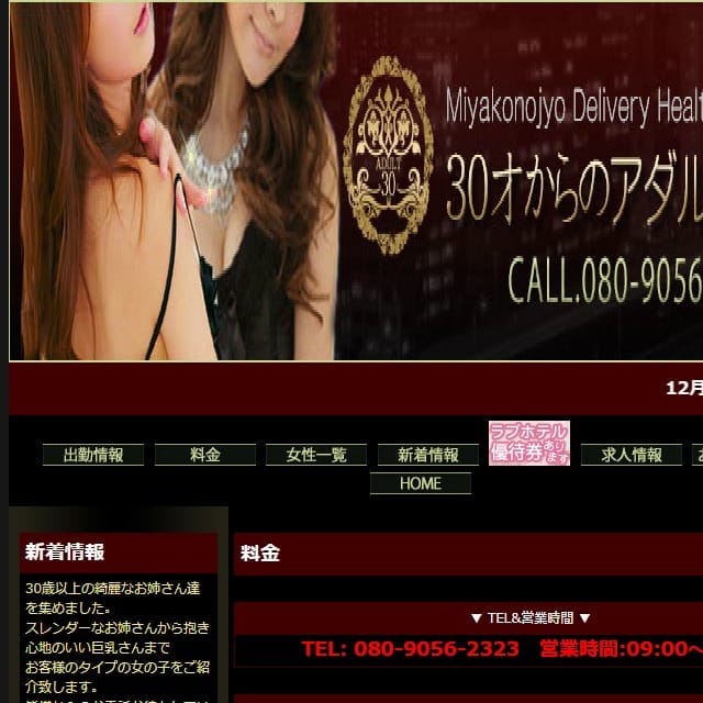 30才からのアダルト店