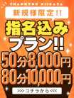 なつみ 新潟サンキュー (新潟発)