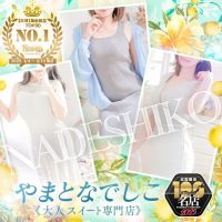 やまとなでしこ (豊橋発)