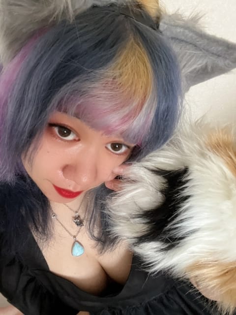 ひめり サンキュー厚木店 (厚木・本厚木発)