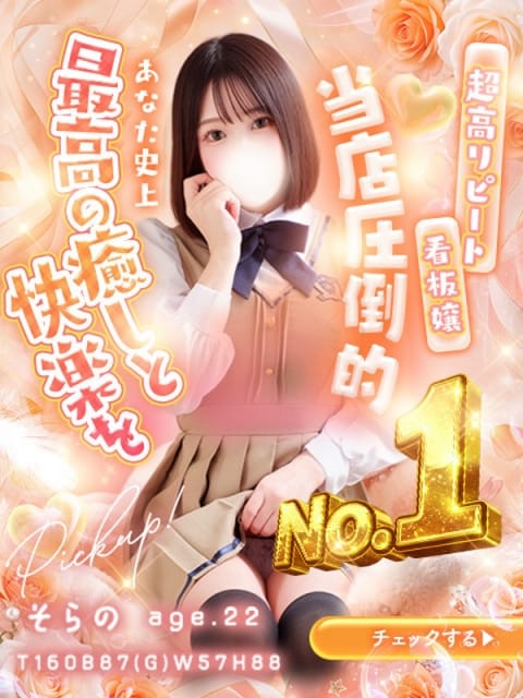 そらの☆プラチナ生徒☆ 秋葉原コスプレ学園in仙台 (仙台発)