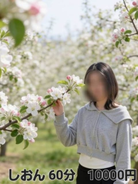 しおん アップル倶楽部 (宮崎発)