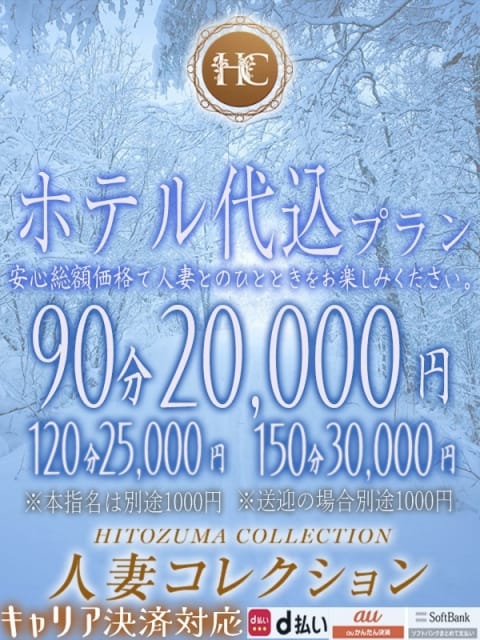 ホテル代込プラン 厚木　人妻コレクション (厚木・本厚木発)