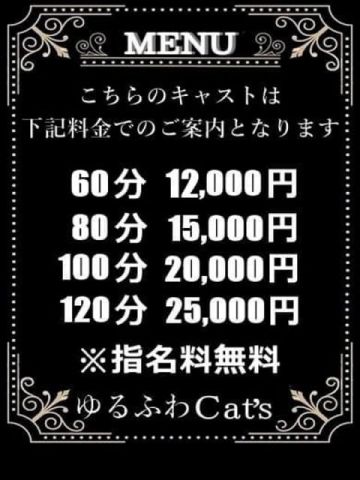ひとみ Cat's高山店 (高山発)