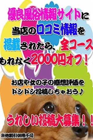 口コミ割引 新潟長岡ちゃんこ (長岡発)