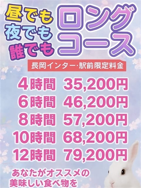 デートプラン 新潟長岡ちゃんこ (長岡発)