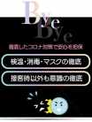 さとみ♡最強の未経験 でりどす岡崎 (岡崎発)