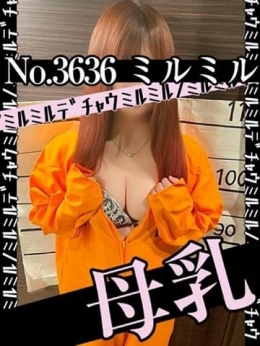 No.3636 ミルミル 札幌ダイナマイト (札幌・すすきの発)