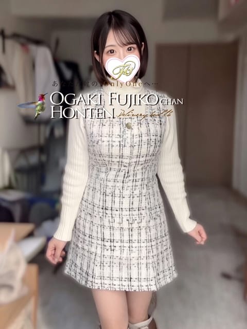 サユ 大垣 不二子chan 本店 (岐阜羽島発)