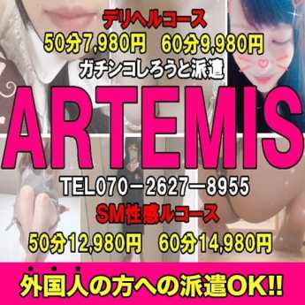 しろうと派遣Artemis(アルテミス) (菊陽発)