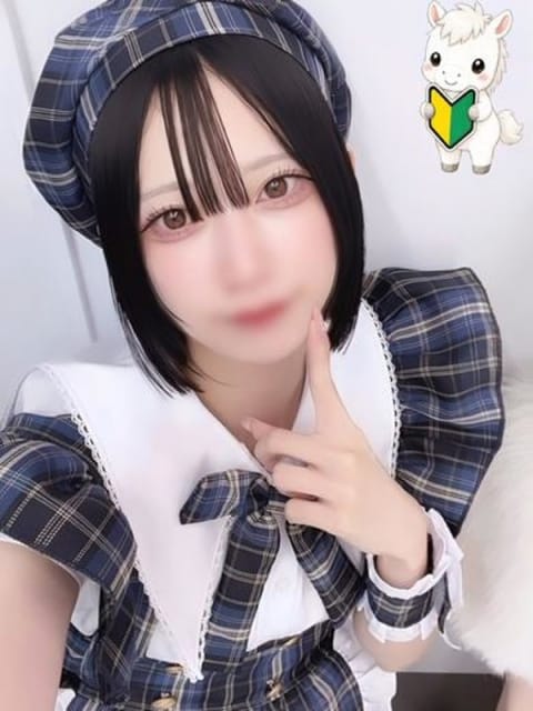 ゆいり 函館 ばつぐんnet (函館発)