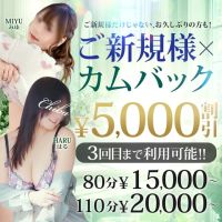千葉人妻花壇 (川越発)