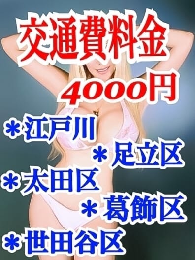 交通費無料 ホールインワン (巣鴨発)