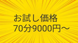 じゃぱん 限定価格 ホームステイ JDセレクション (金町発)