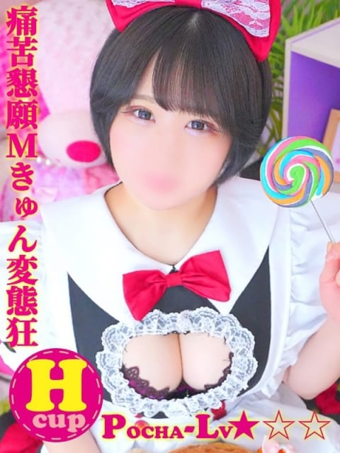 れん＠痛苦懇願Мきゅん変態狂 ぽちゃカワ革命！！いちゃぷよ★ポッチャdoll[高崎・前橋店] (安中発)