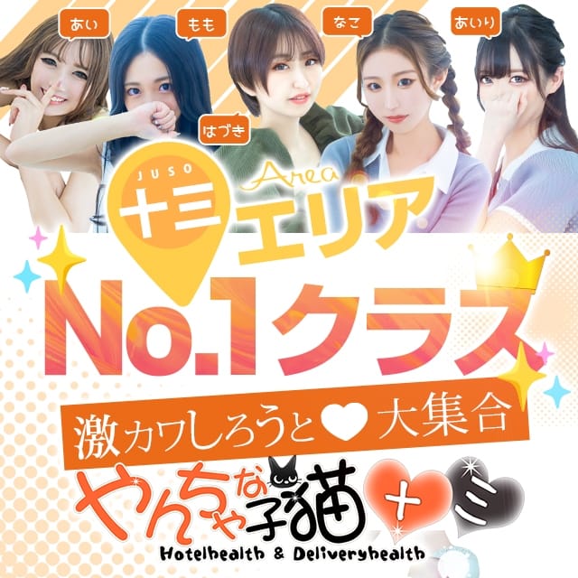 やんちゃな子猫 十三