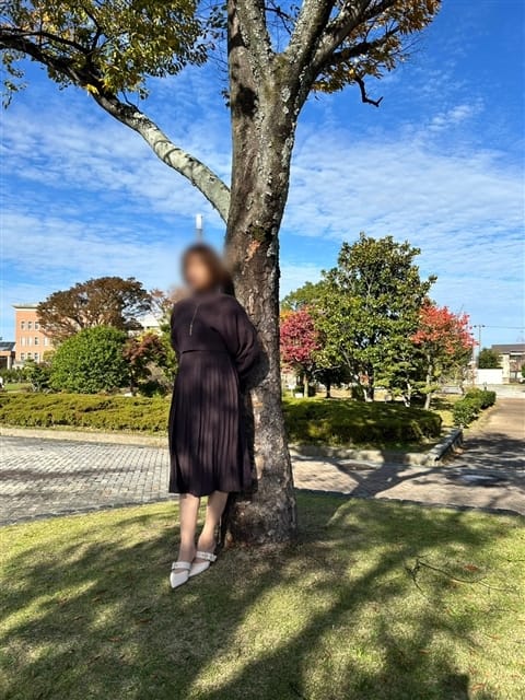 佐野ひまり 熟女パラダイス岐阜羽島店 (岐阜羽島発)