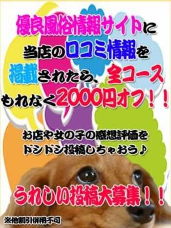 口コミ2000円割引 奈良橿原大和高田ちゃんこ (橿原神宮前発)