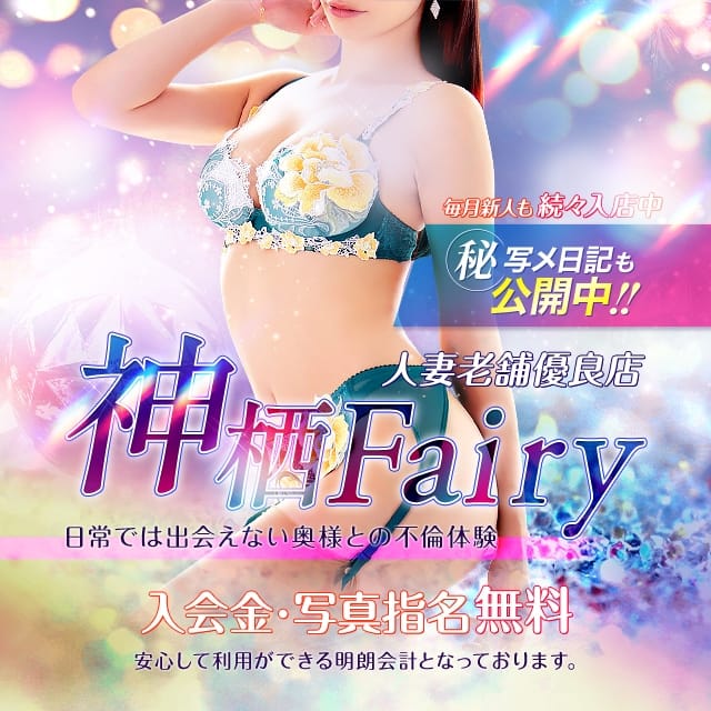 Fairy(神栖発)