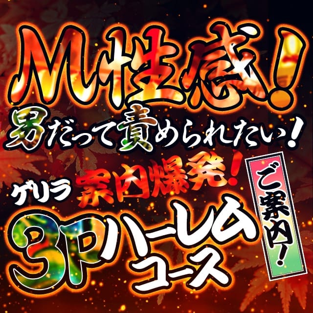 Kota難波 (日本橋発)