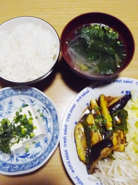 求人募集中！！ 巨乳・爆乳専科 本厚木店 (厚木・本厚木発)