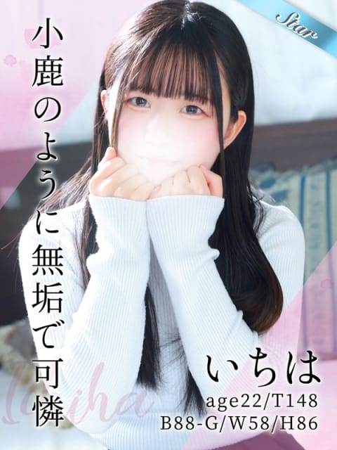 いちは 東京リップ八王子店（リップグループ） (八王子発)
