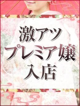 元木あや(もときあや) 姫路マダム大奥 (姫路発)