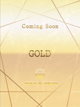 八木みなと MIRAI-TOKYO新宿店 (池袋発)