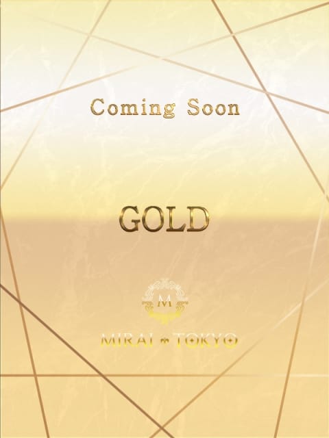 藤川いろは MIRAI-TOKYO新宿店 (新宿発)