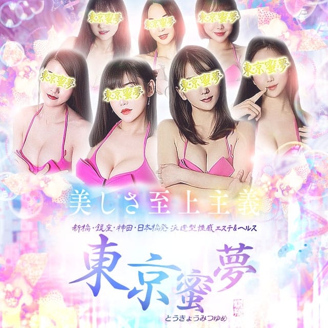 派遣型性感エステ&ヘルス 東京蜜夢(新橋発)