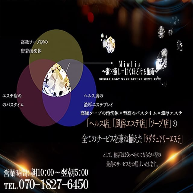Mielis～蜜×癒し＝甘くほどける施術～(古河発)
