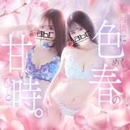 abc+ abc+ (厚木・本厚木発)