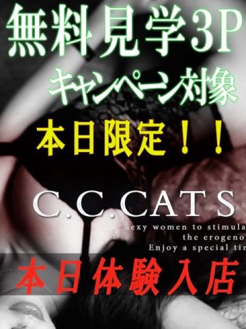 りお C.C.Cats（シーシーキャッツ） (渋谷発)