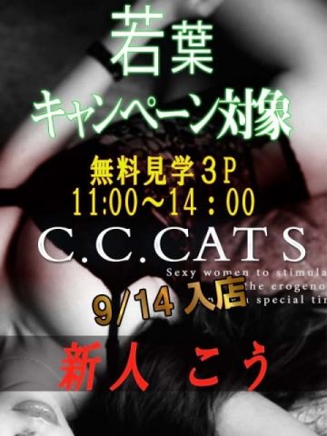 こう C.C.Cats（シーシーキャッツ） (渋谷発)