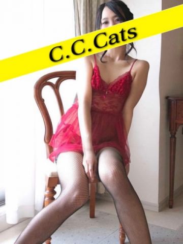 たお C.C.Cats（シーシーキャッツ） (渋谷発)