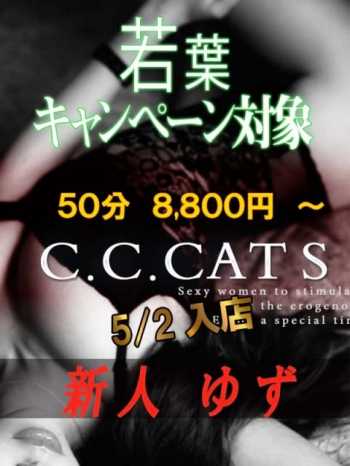 ゆず C.C.Cats（シーシーキャッツ） (渋谷発)