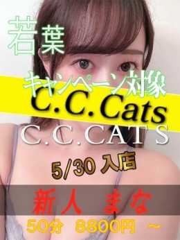 まな C.C.Cats（シーシーキャッツ） (渋谷発)