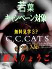 りょうこ C.C.Cats（シーシーキャッツ） (渋谷発)
